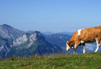Gleichheit beim Salär, und zwar gschwind!