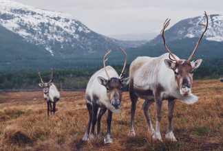 Junge Frauen an der Macht