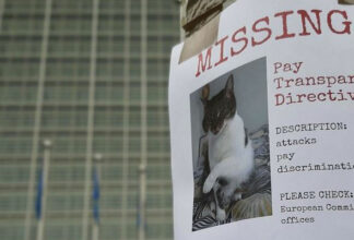 Unser Rat an die EU: Mehr Transparenz!